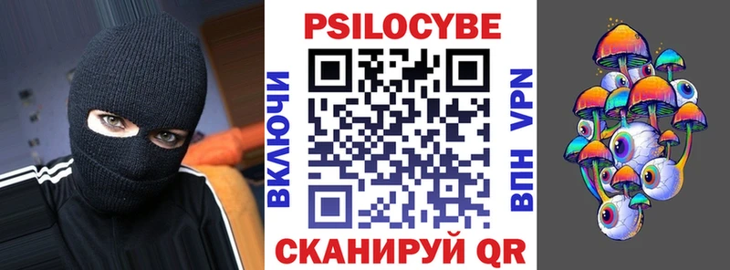 где продают наркотики Разумное Галлюциногенные грибы Psilocybe